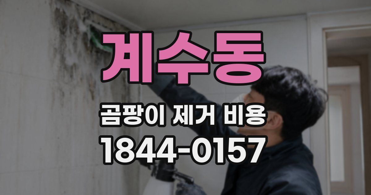 계수동 곰팡이 제거 비용