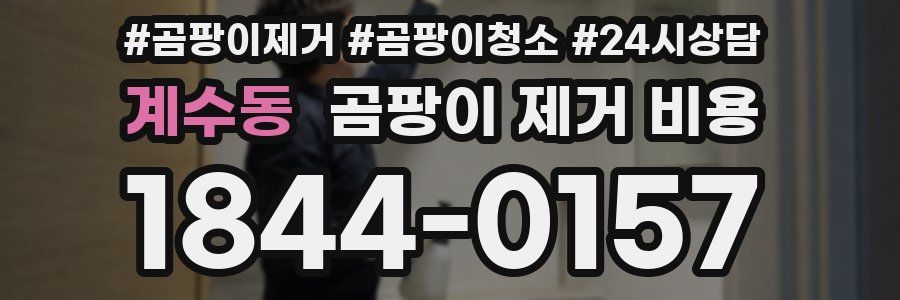 계수동 곰팡이 제거 비용