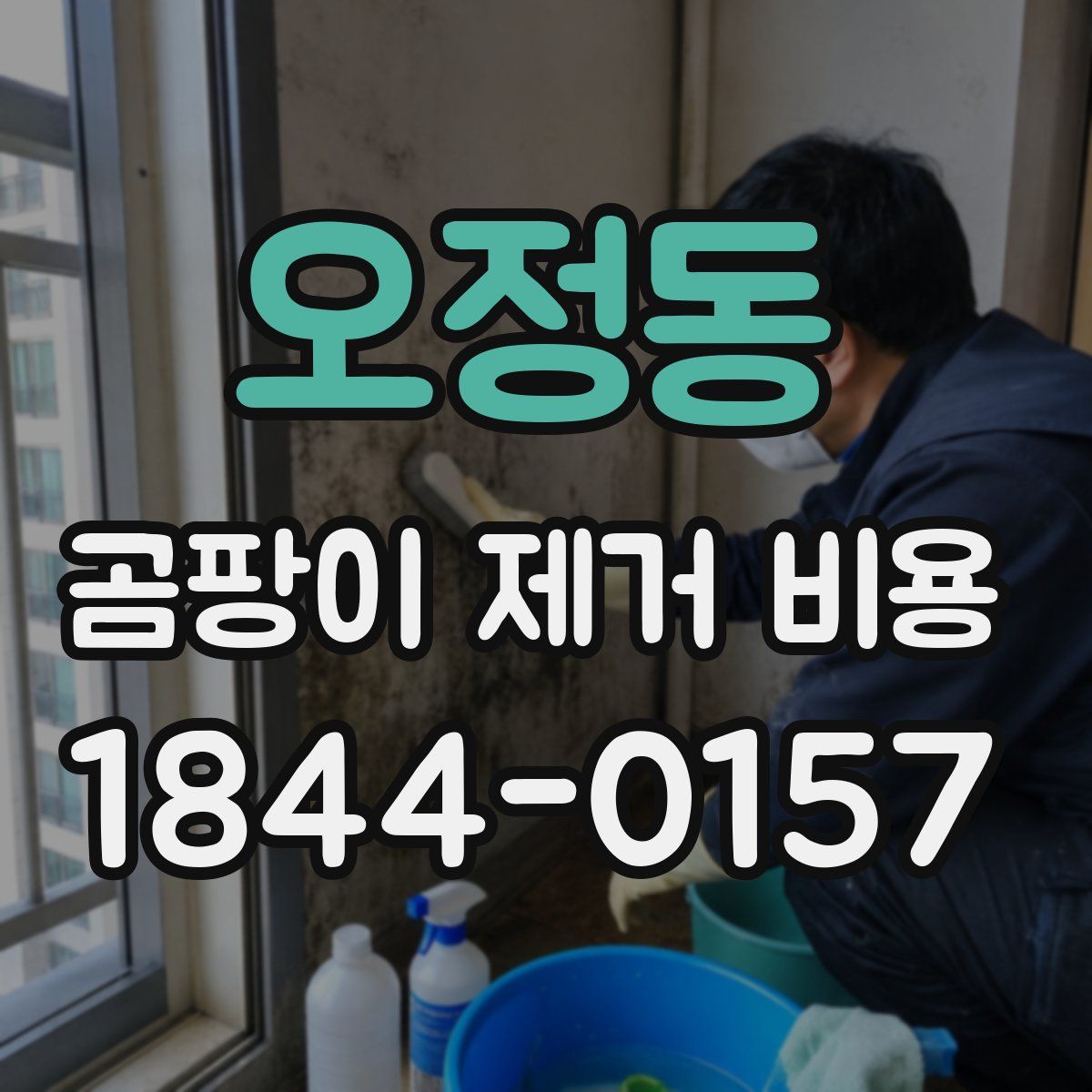오정동 곰팡이 제거 비용