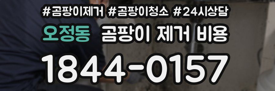 오정동 곰팡이 제거 비용