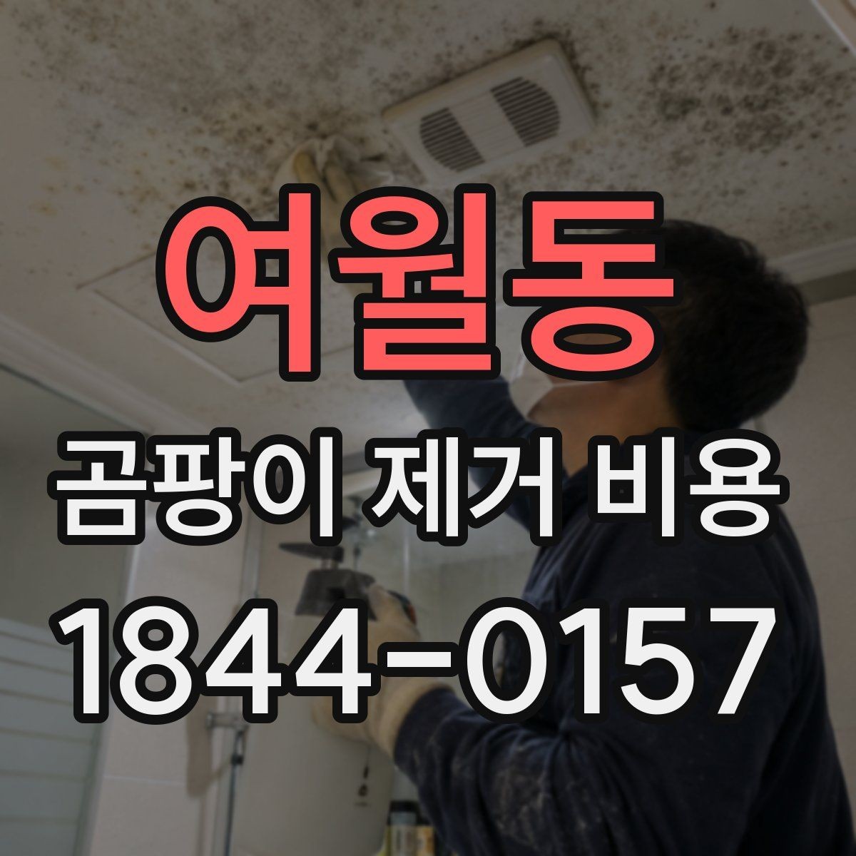여월동 곰팡이 제거 비용 곰팡이 제거 업체 계약 전 살펴볼 문서