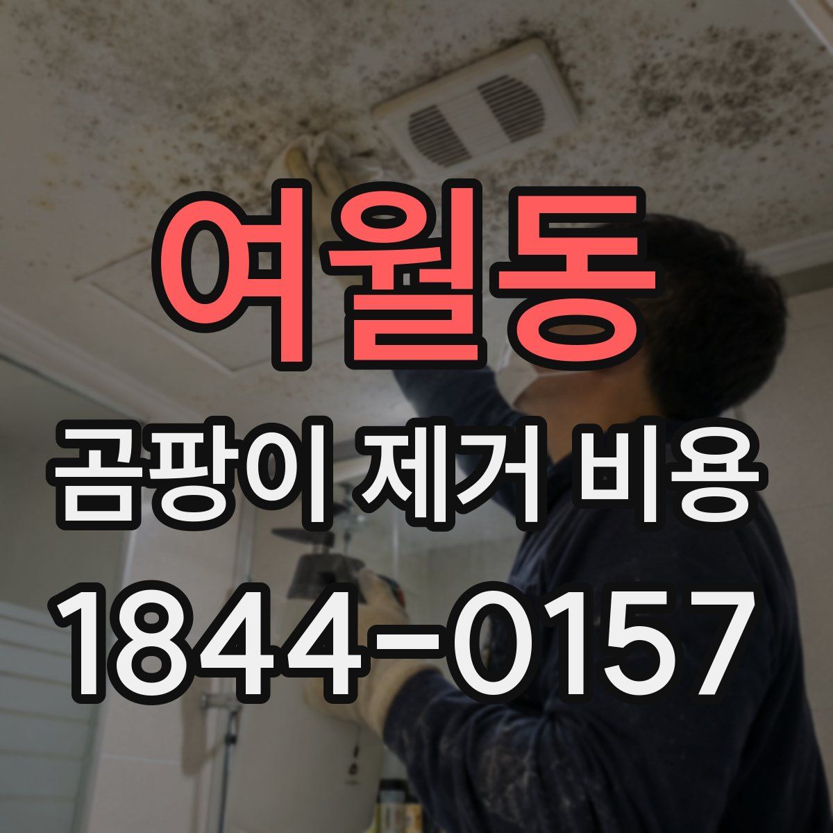 여월동 곰팡이 제거 비용