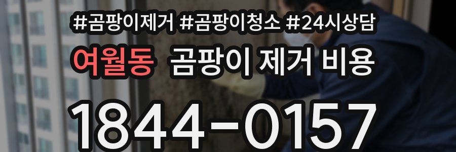 여월동 곰팡이 제거 비용