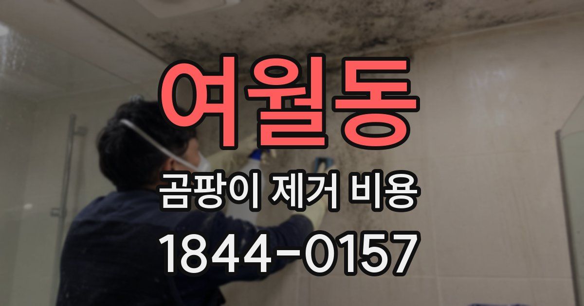 여월동 곰팡이 제거 비용
