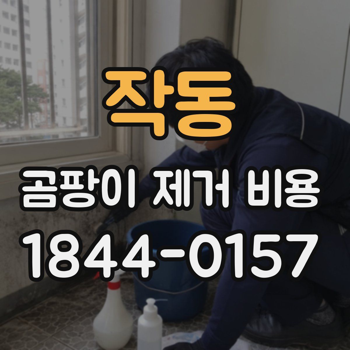 작동 곰팡이 제거 비용