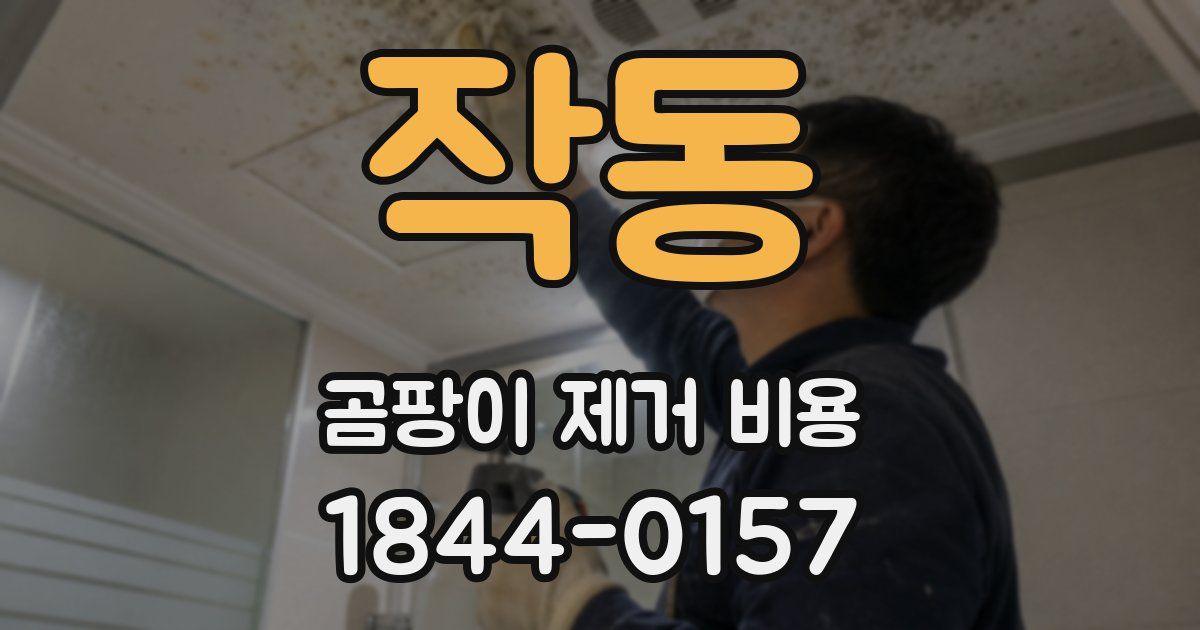 작동 곰팡이 제거 비용