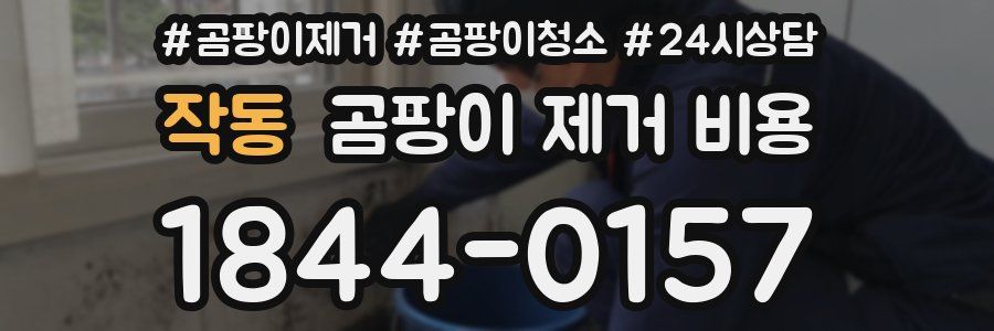 작동 곰팡이 제거 비용