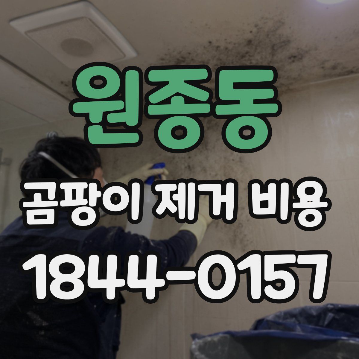 원종동 곰팡이 제거 비용
