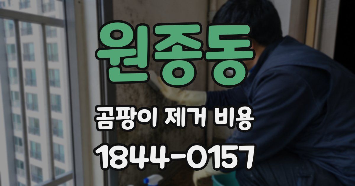 원종동 곰팡이 제거 비용