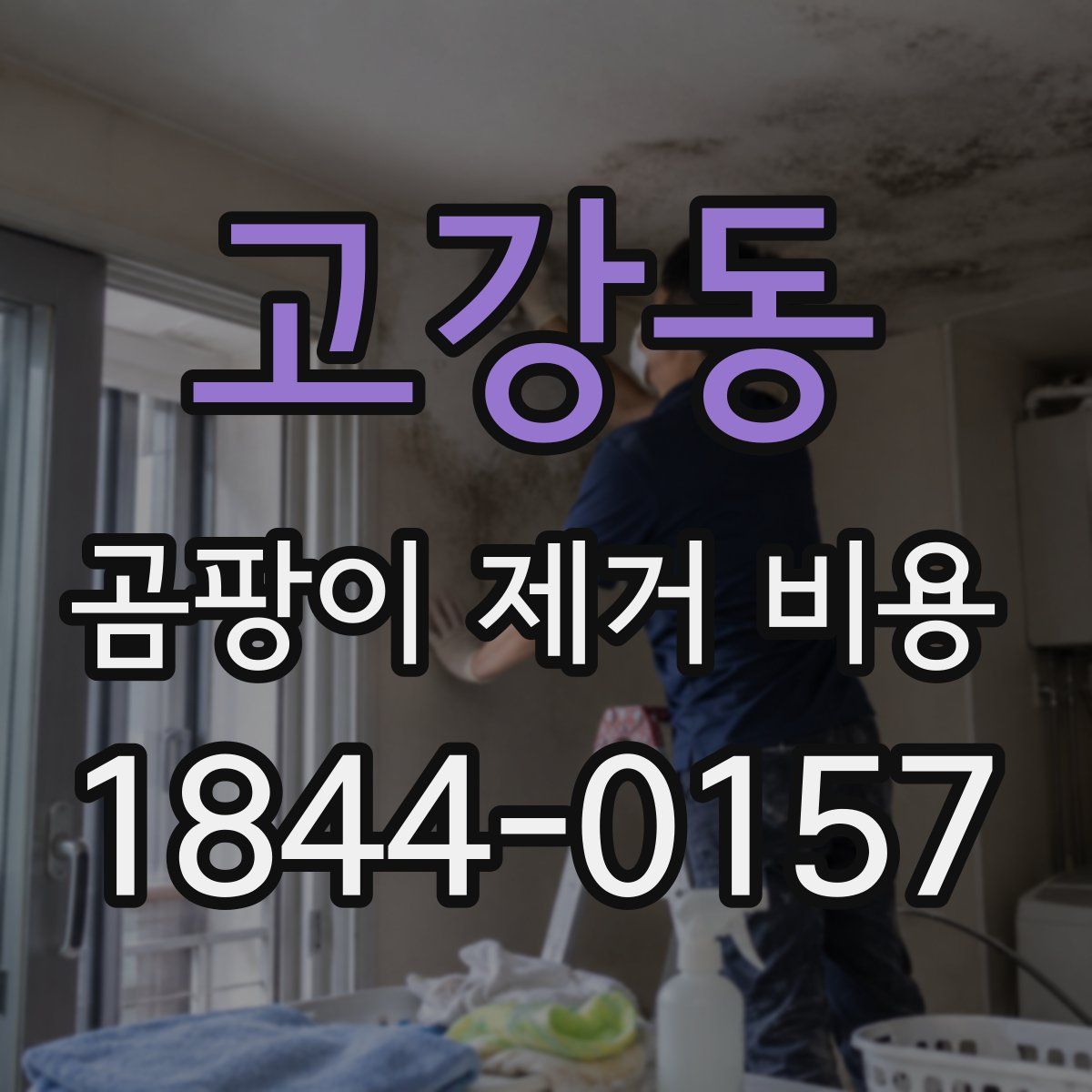고강동 곰팡이 제거 비용