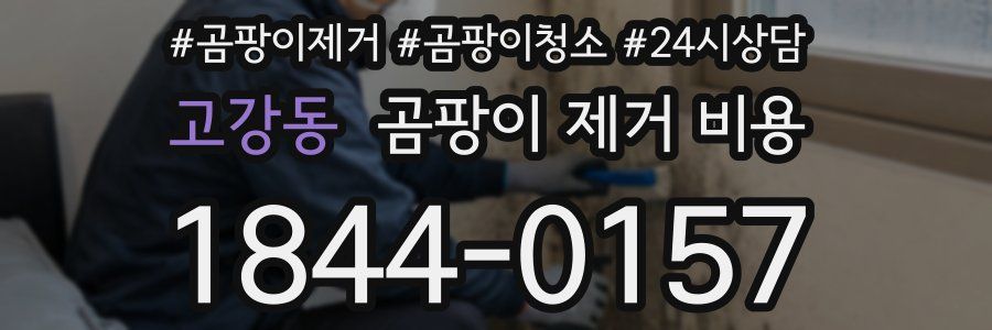 고강동 곰팡이 제거 비용