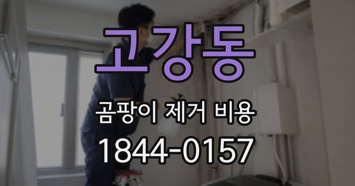 고강동 곰팡이 제거 비용