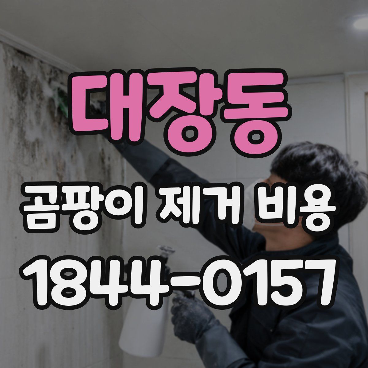 대장동 곰팡이 제거 비용