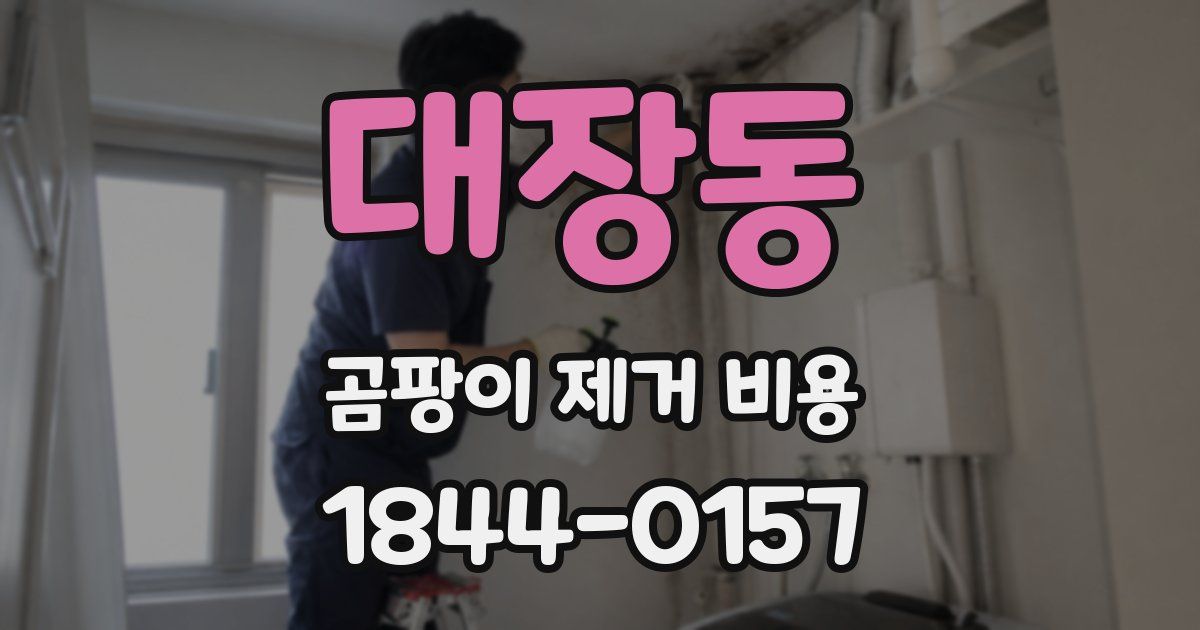 대장동 곰팡이 제거 비용