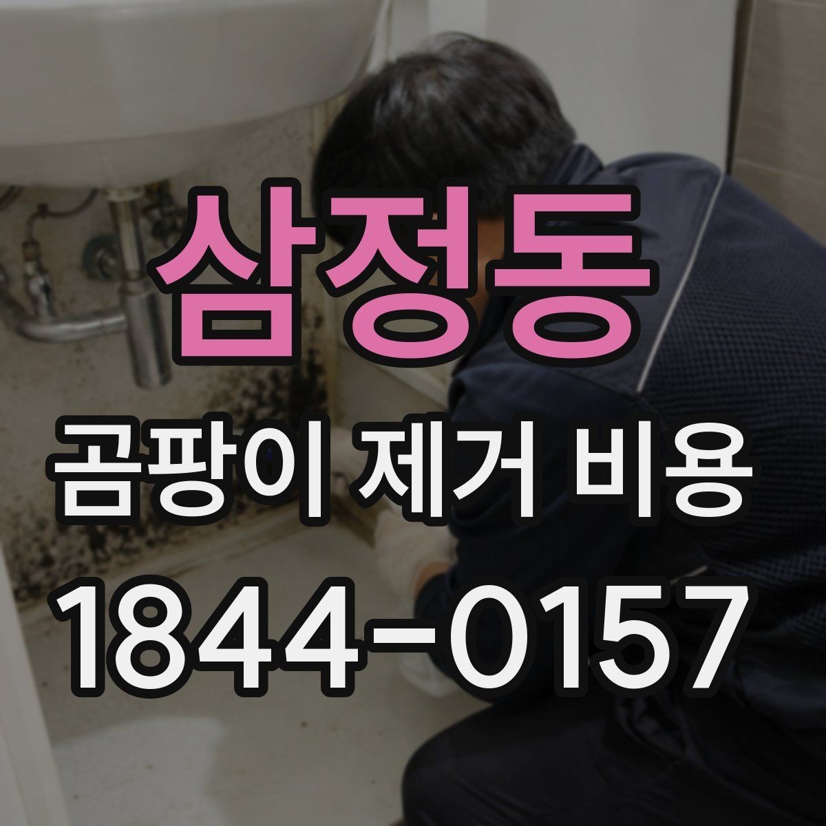 삼정동 곰팡이 제거 비용 재발 가능성을 줄이는 사후 점검