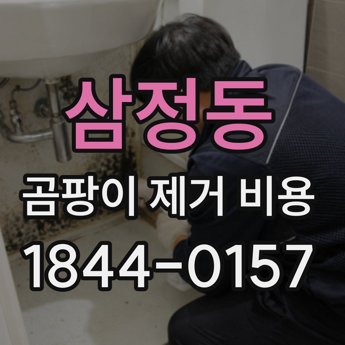삼정동 곰팡이 제거 비용