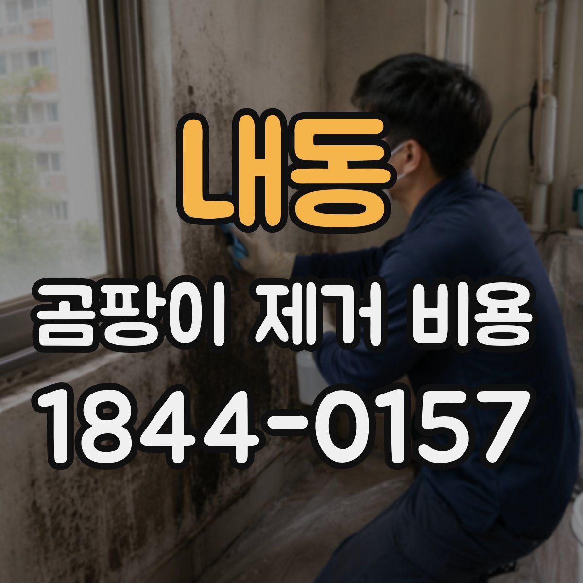 내동 곰팡이 제거 비용