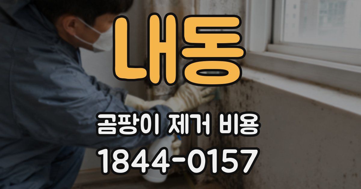 내동 곰팡이 제거 비용