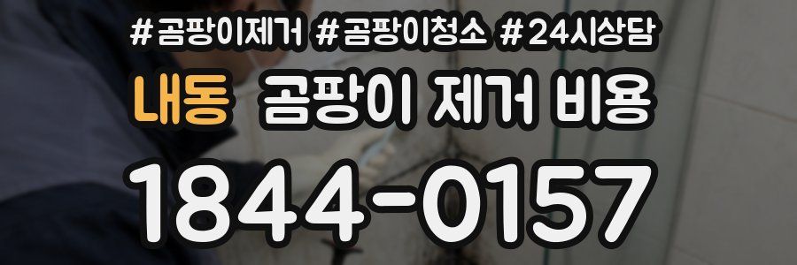 내동 곰팡이 제거 비용
