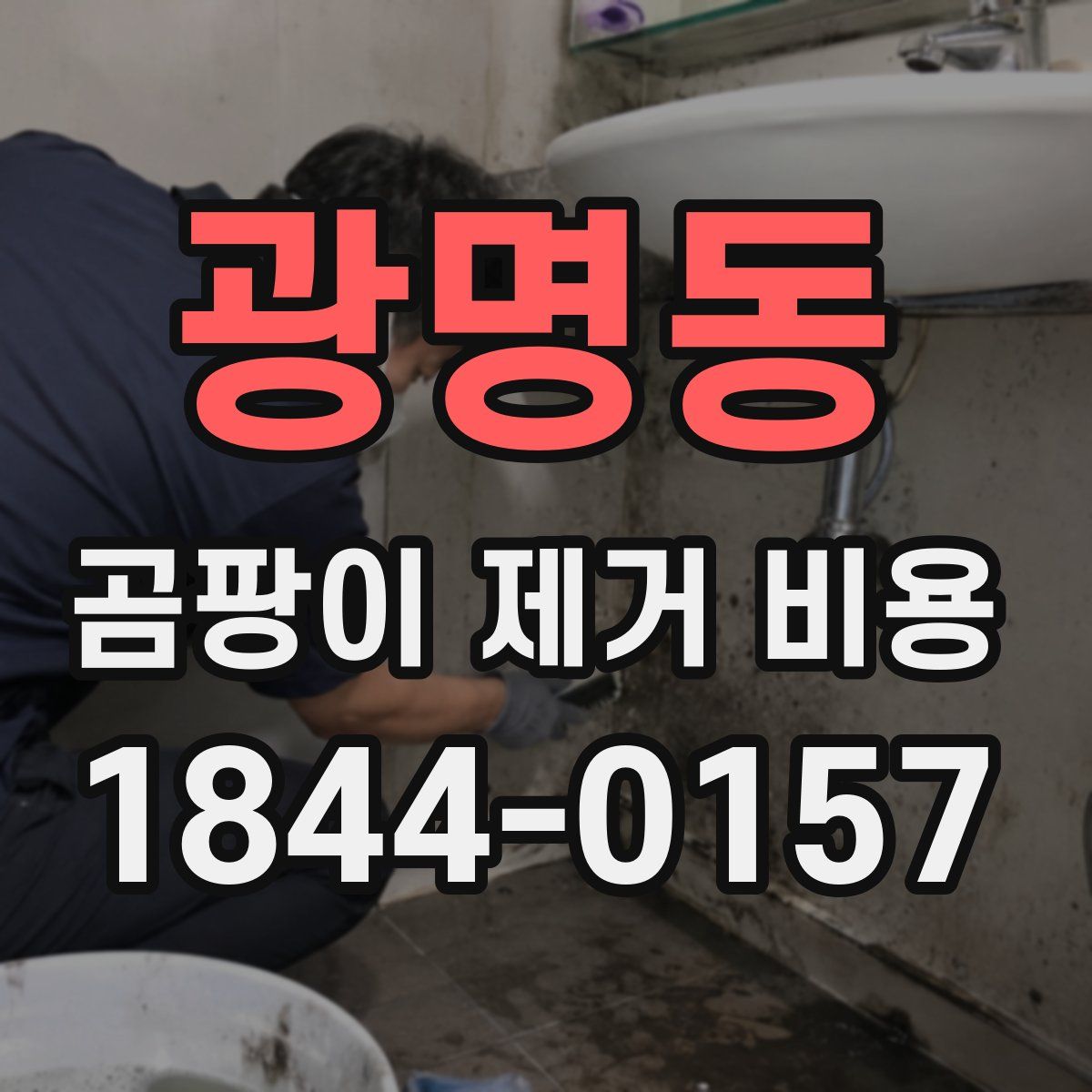 광명동 곰팡이 제거 비용