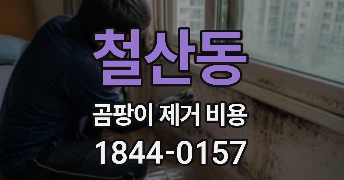 철산동 곰팡이 제거 비용
