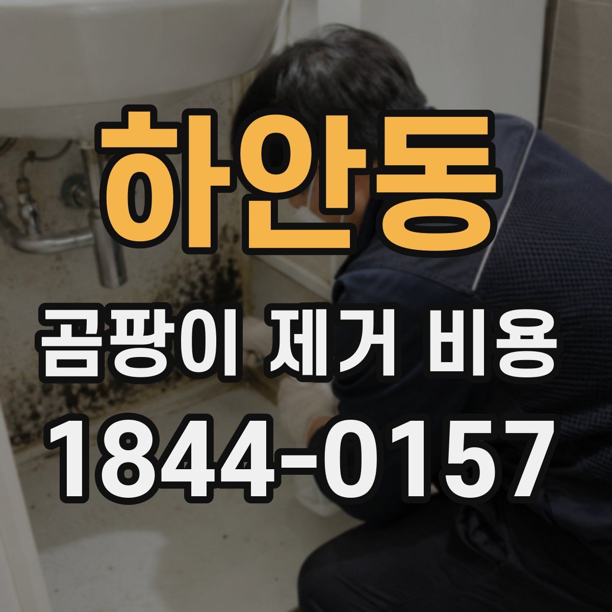 하안동 곰팡이 제거 비용