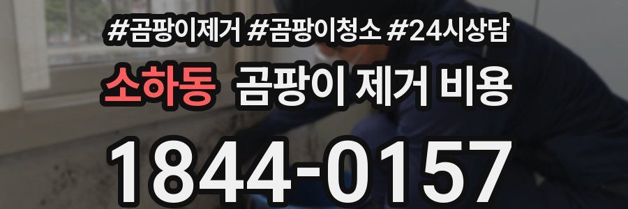 소하동 곰팡이 제거 비용