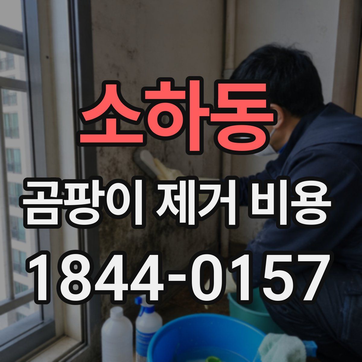 소하동 곰팡이 제거 비용