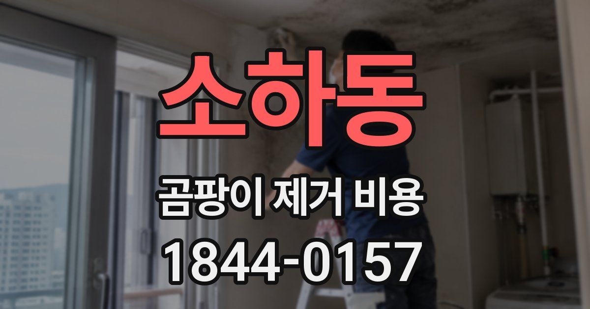 소하동 곰팡이 제거 비용