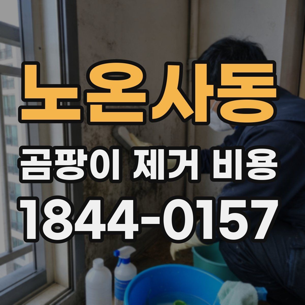노온사동 곰팡이 제거 비용 상가 내부와 세대 주거공간의 작업 차이