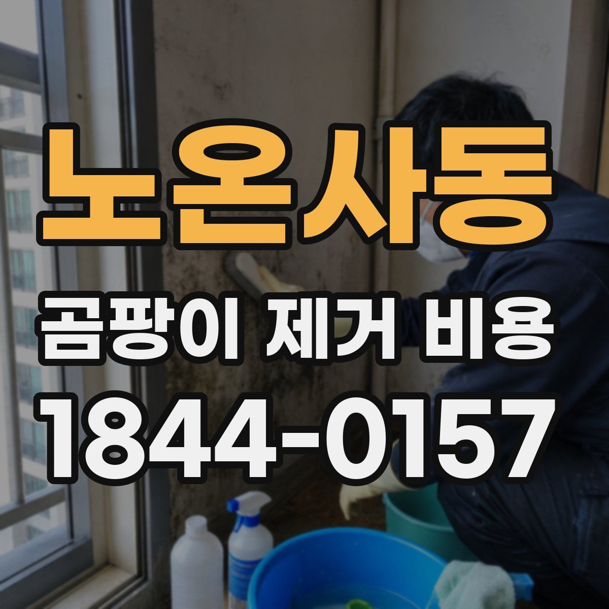 노온사동 곰팡이 제거 비용