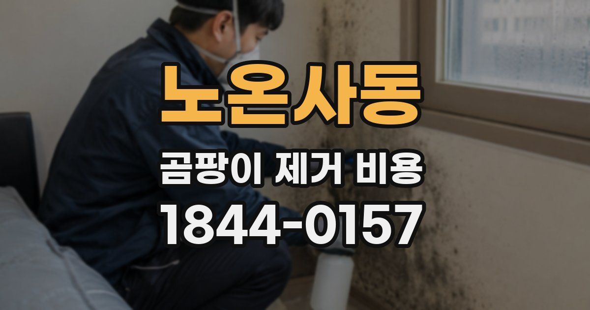 노온사동 곰팡이 제거 비용