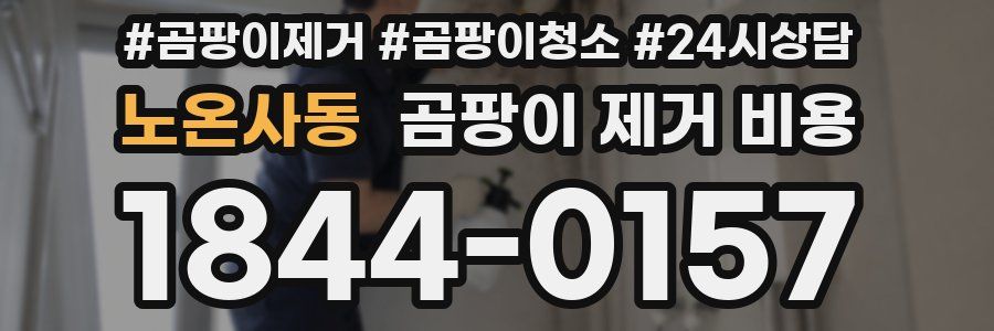 노온사동 곰팡이 제거 비용