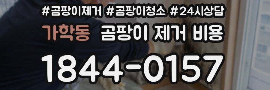 가학동 곰팡이 제거 비용