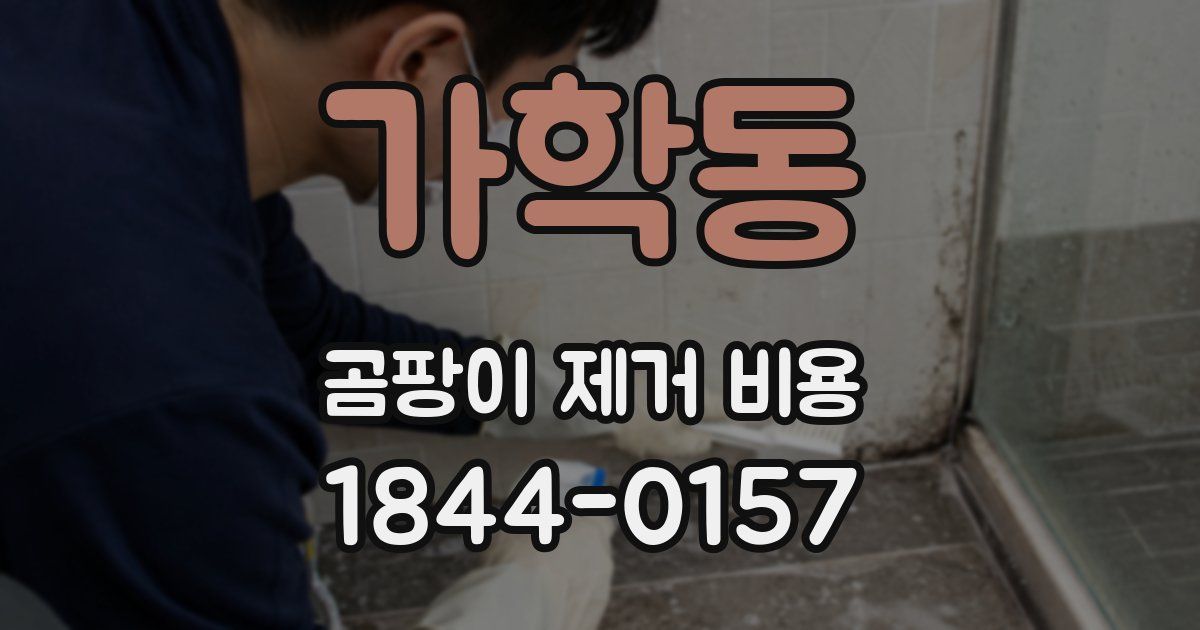 가학동 곰팡이 제거 비용