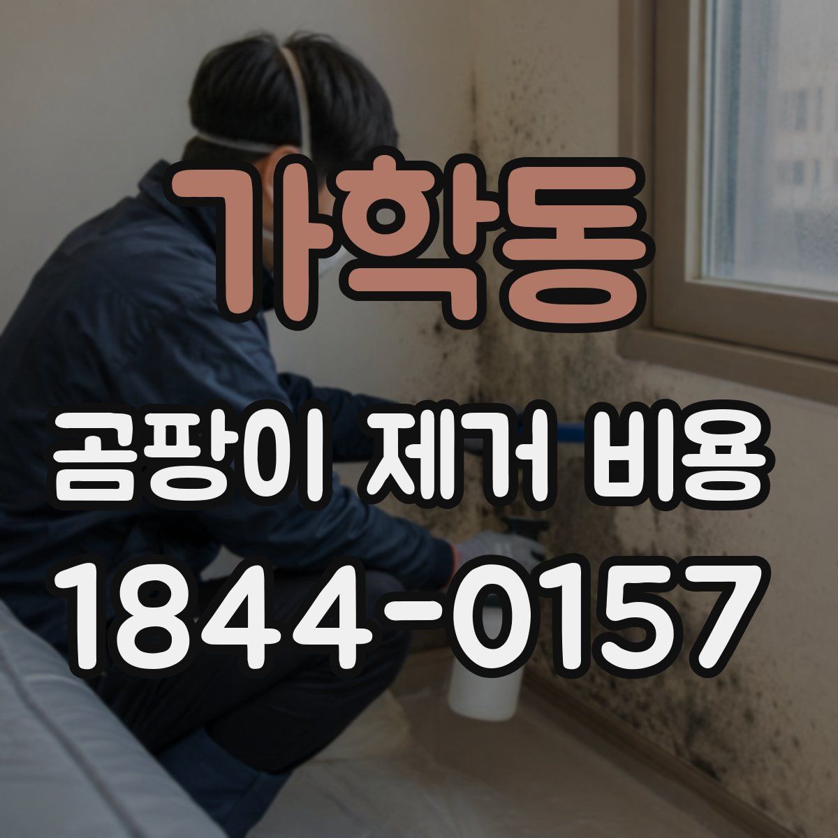 가학동 곰팡이 제거 비용
