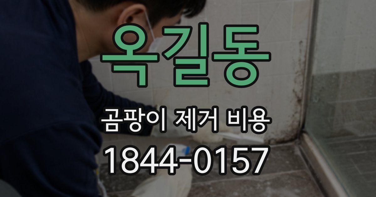 옥길동 곰팡이 제거 비용