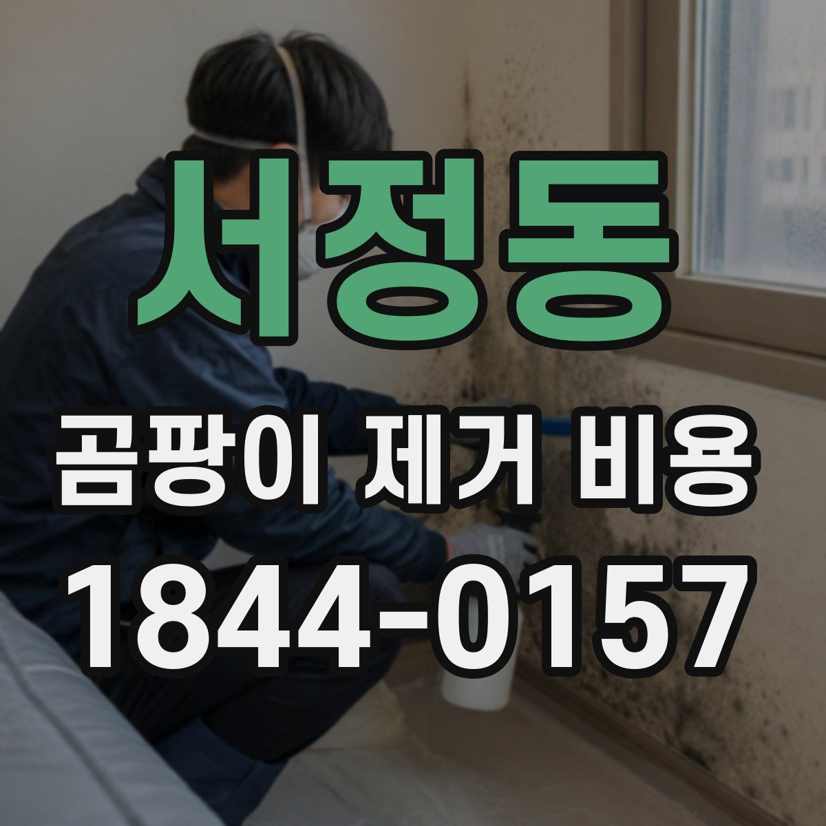 서정동 곰팡이 제거 비용