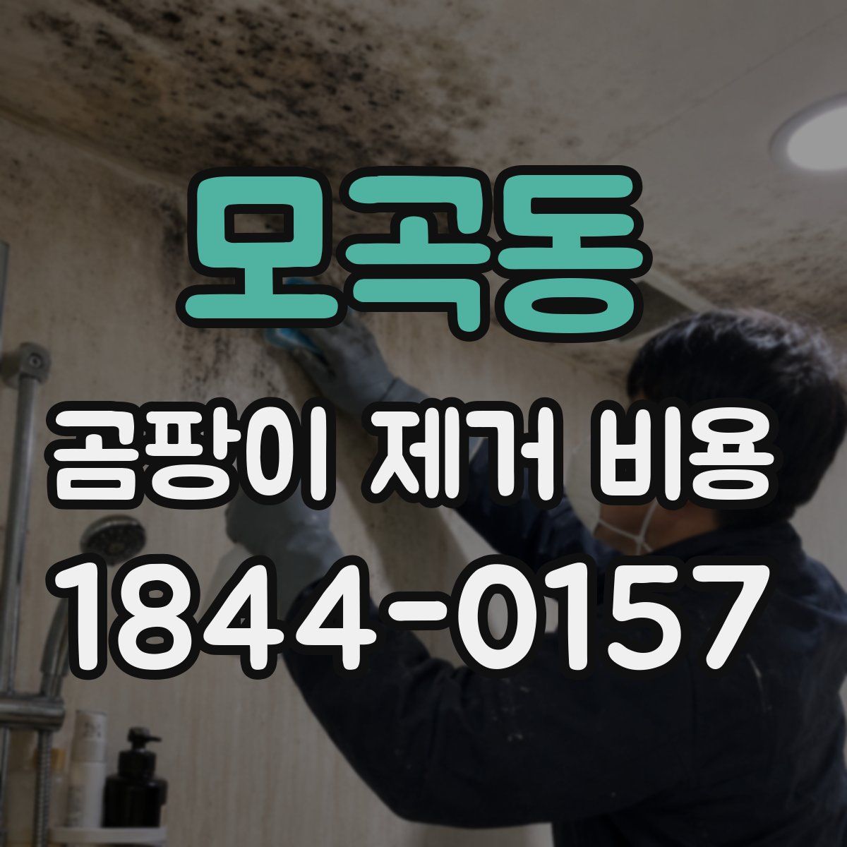 모곡동 곰팡이 제거 비용