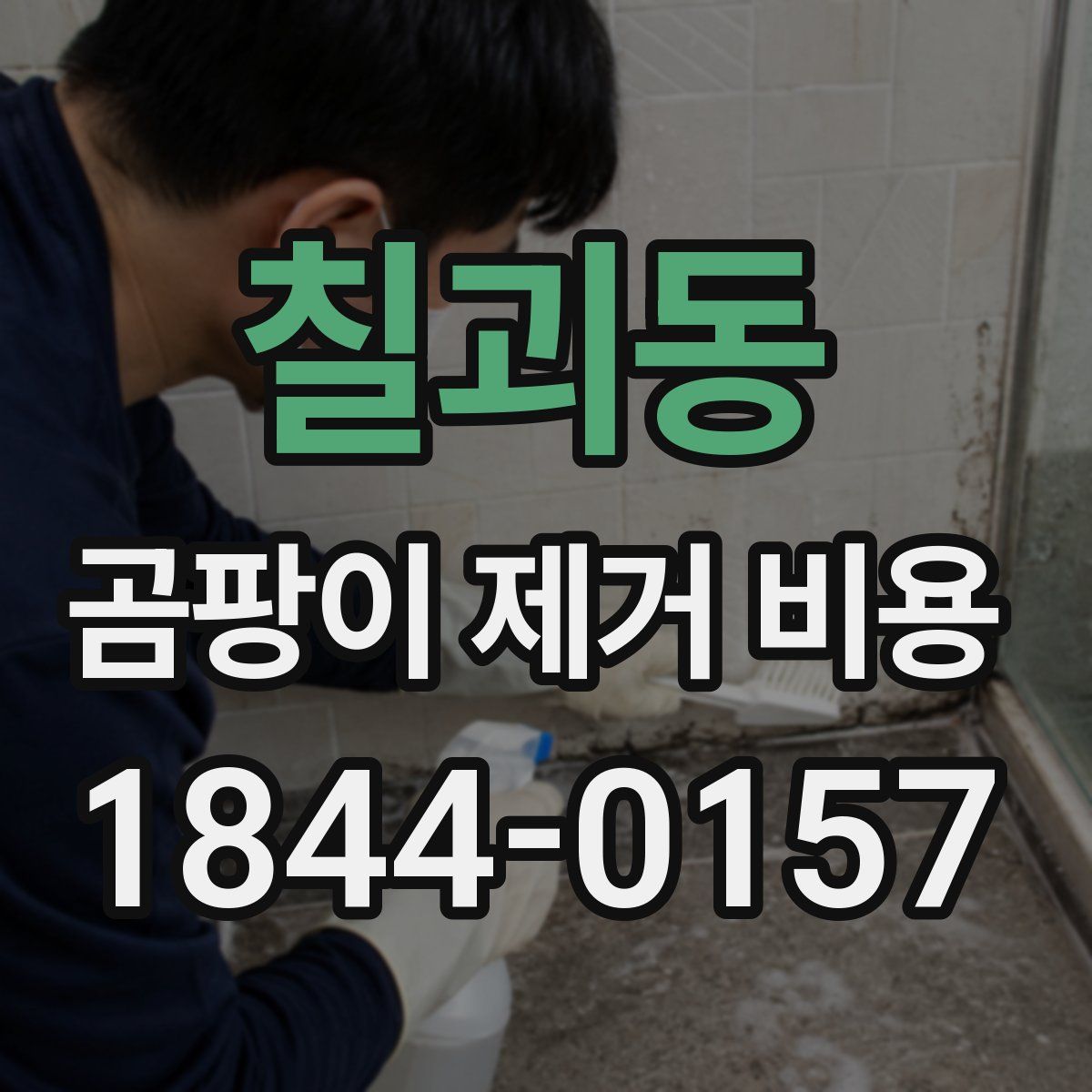 칠괴동 곰팡이 제거 비용