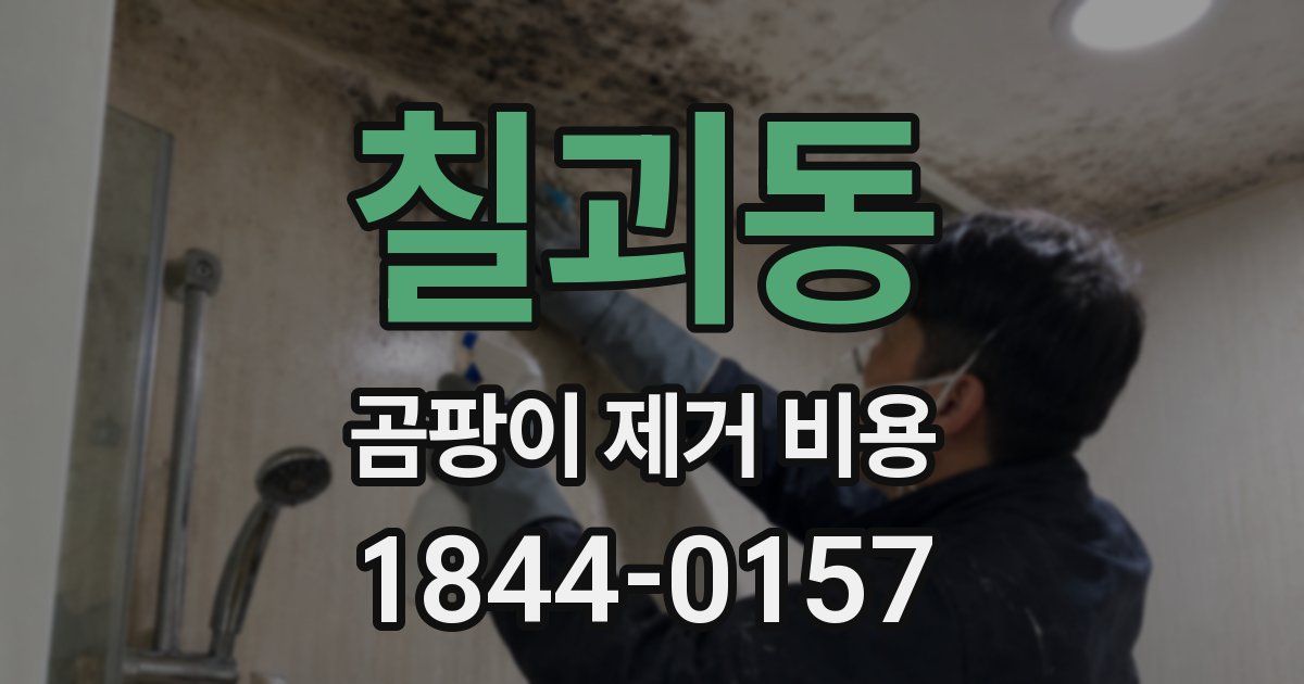 칠괴동 곰팡이 제거 비용