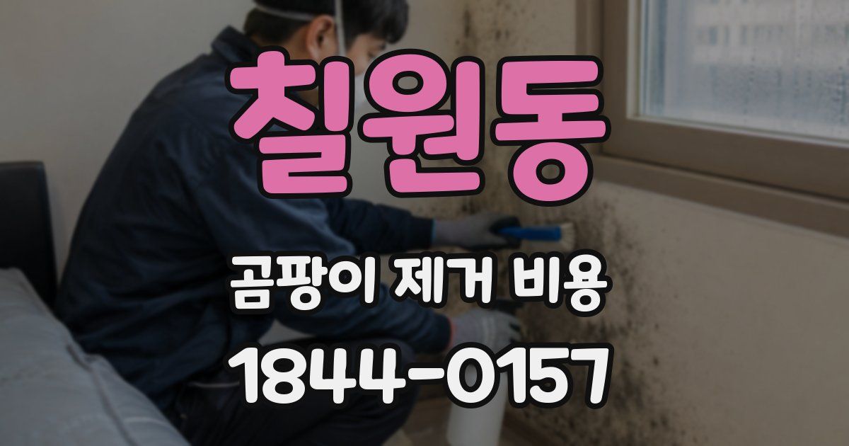 칠원동 곰팡이 제거 비용