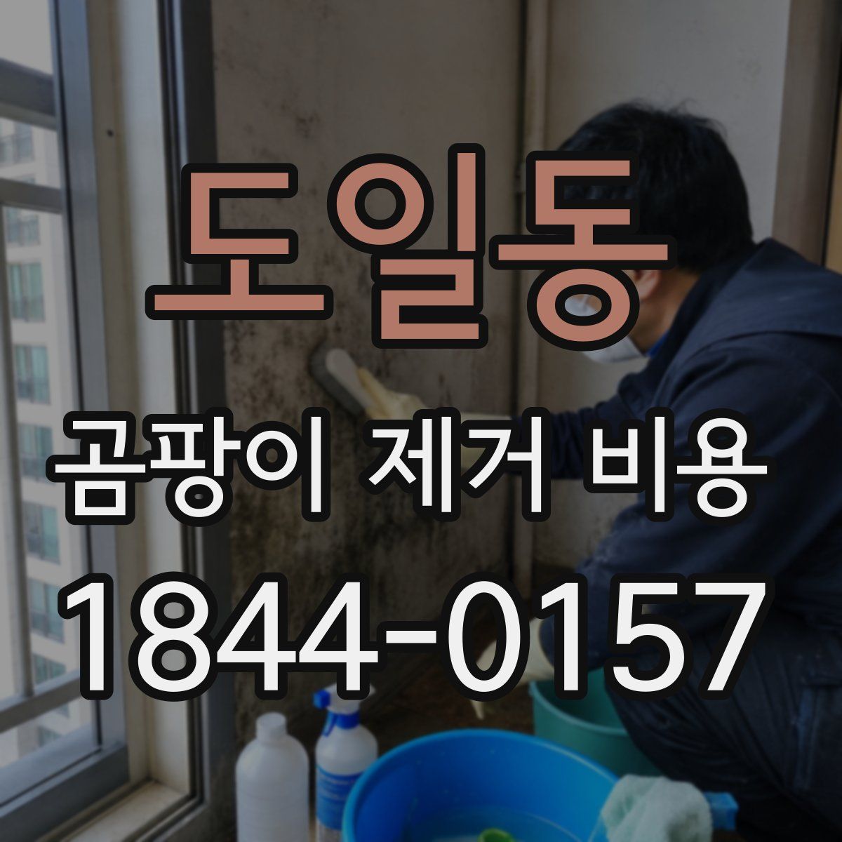 도일동 곰팡이 제거 비용