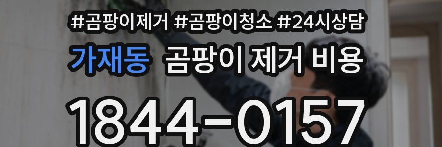 가재동 곰팡이 제거 비용