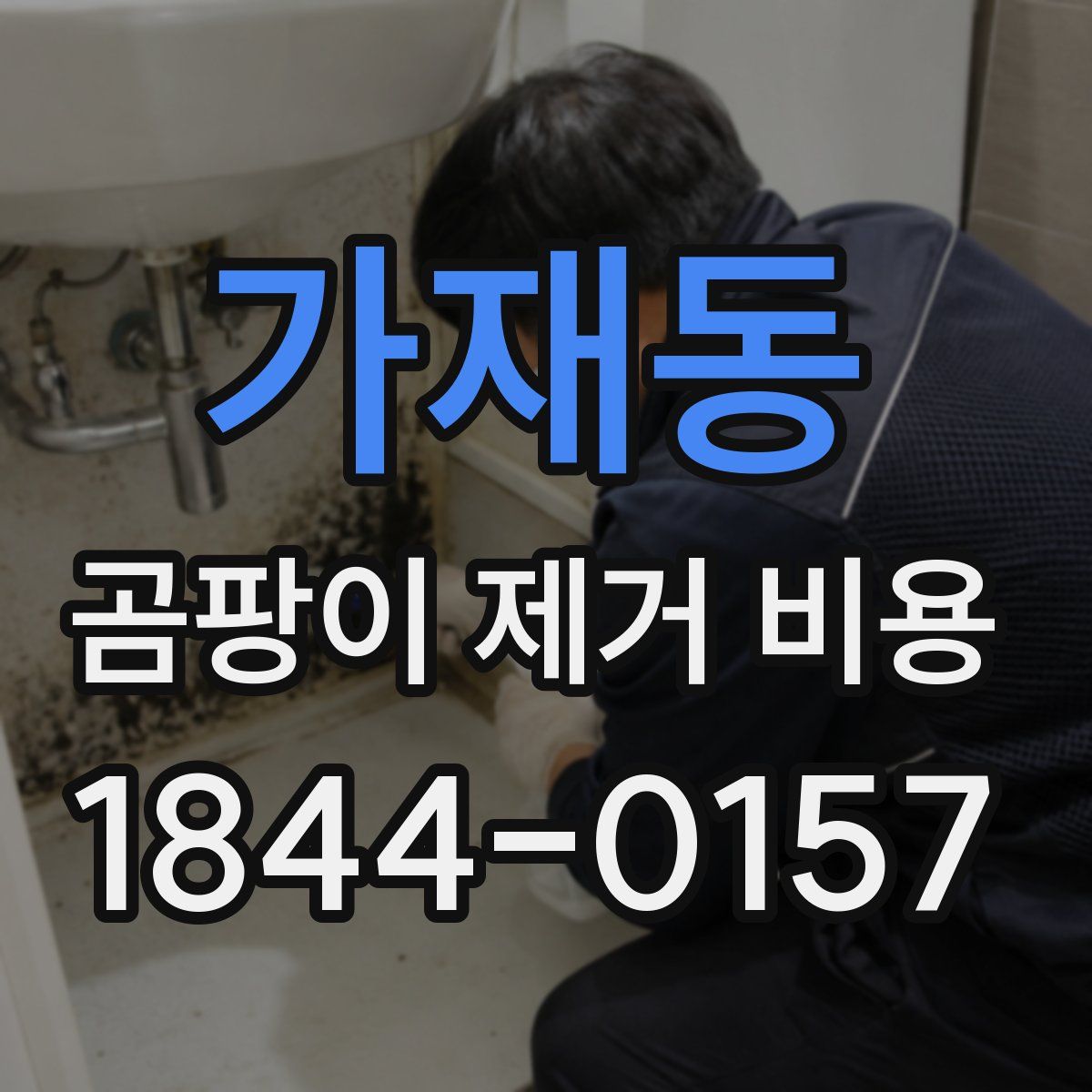 가재동 곰팡이 제거 비용