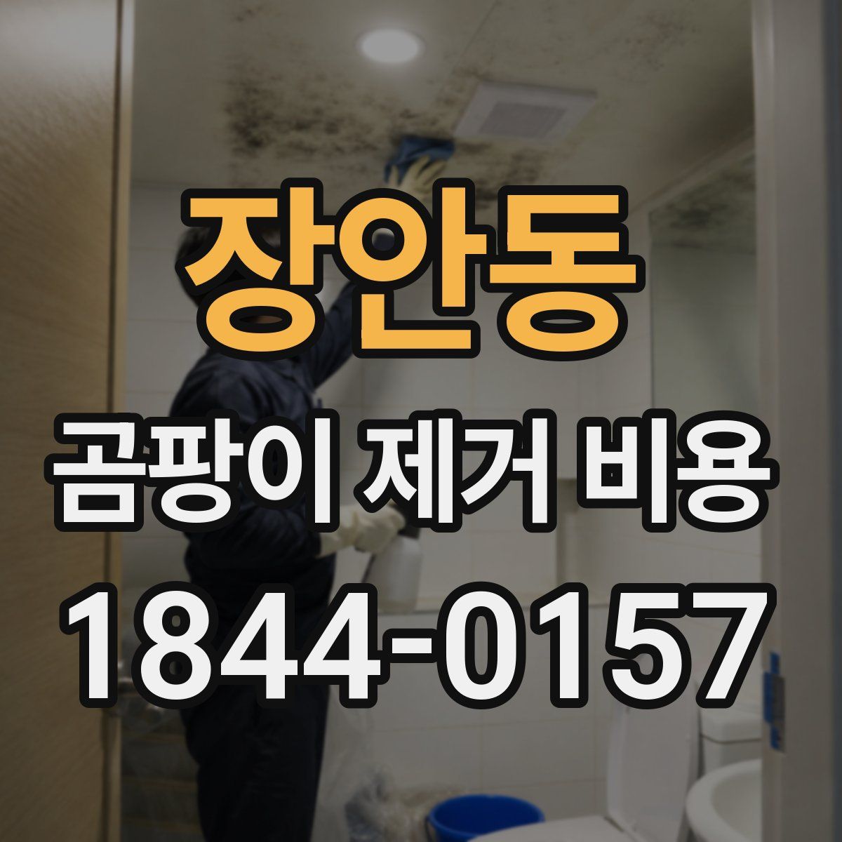 장안동 곰팡이 제거 비용