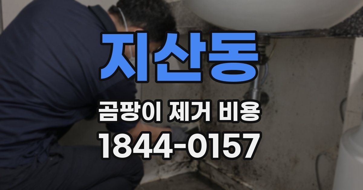 지산동 곰팡이 제거 비용