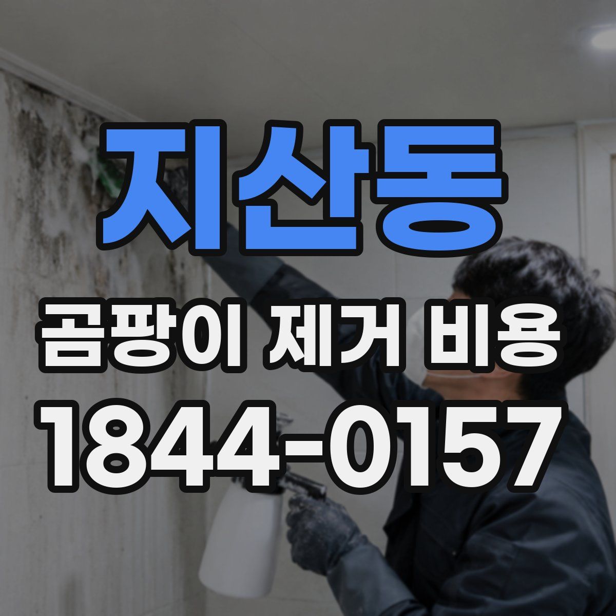 지산동 곰팡이 제거 비용