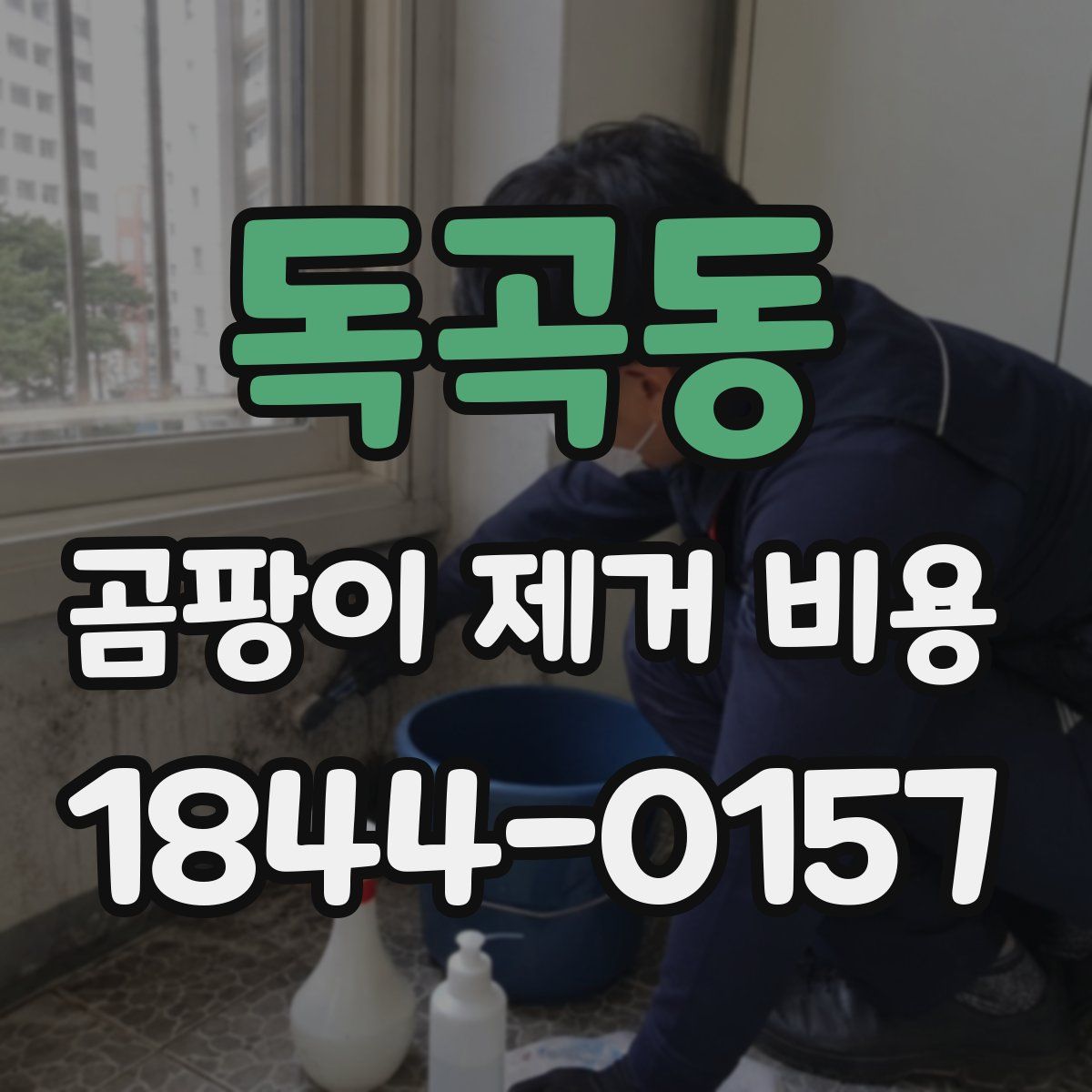 독곡동 곰팡이 제거 비용