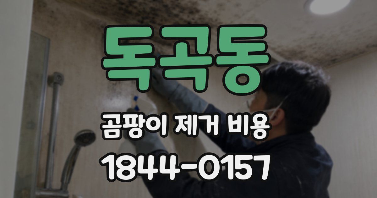 독곡동 곰팡이 제거 비용